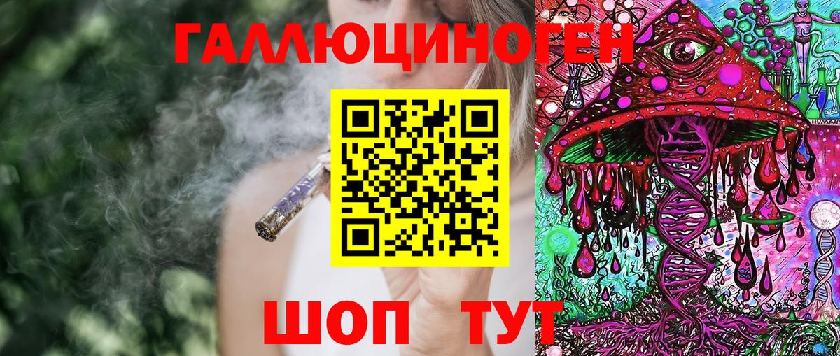 Галлюциногенные грибы Psilocybine cubensis Осинники